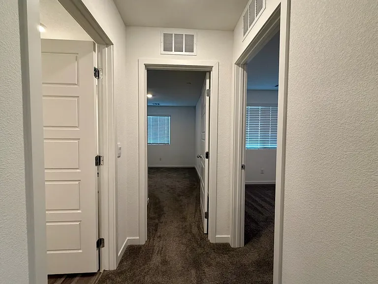 917 Violet Heron St — Photo 36