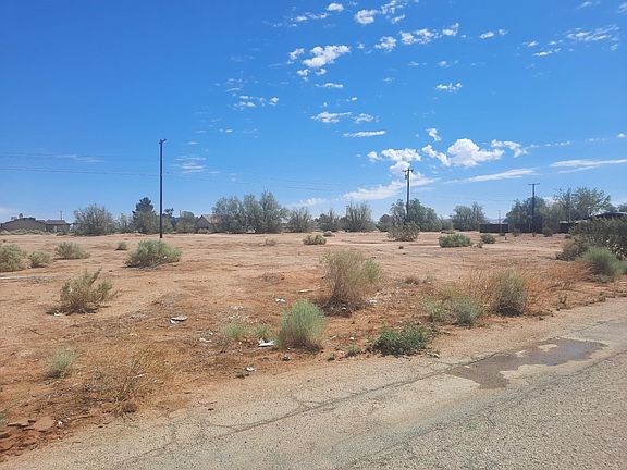 5th image of Dogbane Ave