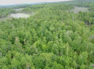 TBD Trafton Road, Parkman, ME 04443