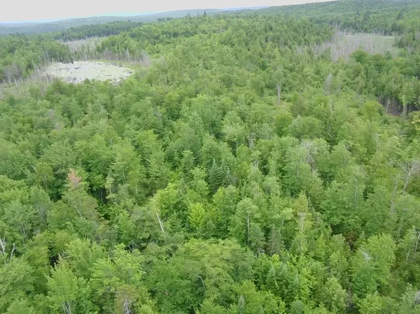 TBD Trafton Road, Parkman, ME 04443
