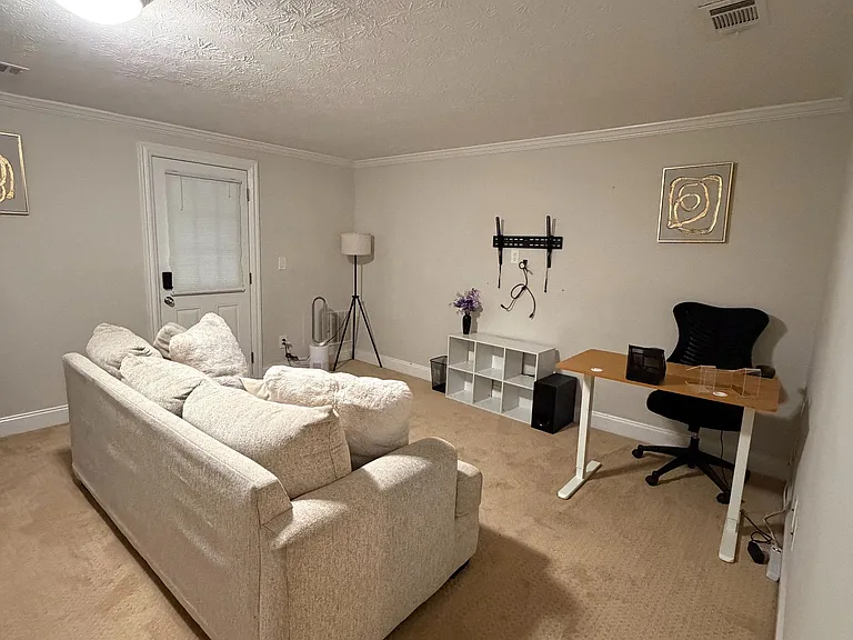 Open living area with carpeted floors, overhead lighting, and flexible space for lounging, work, or media setup.