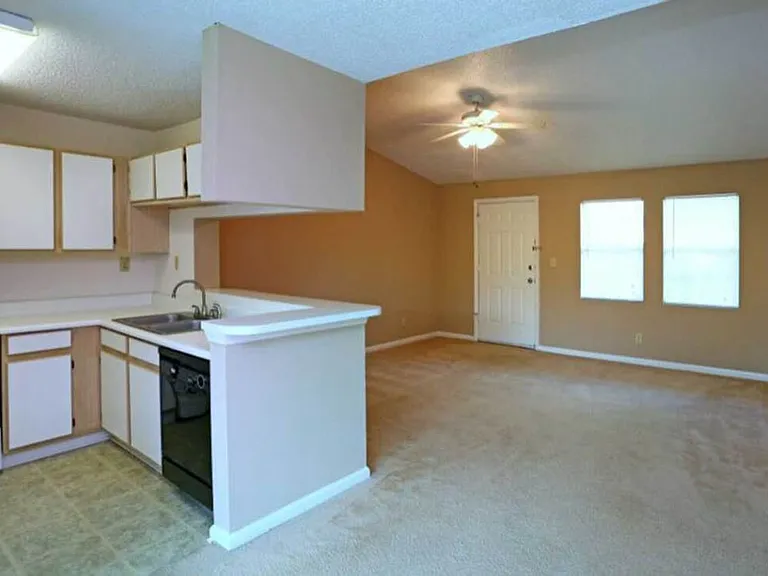 Springlake Apartments — Photo 10
