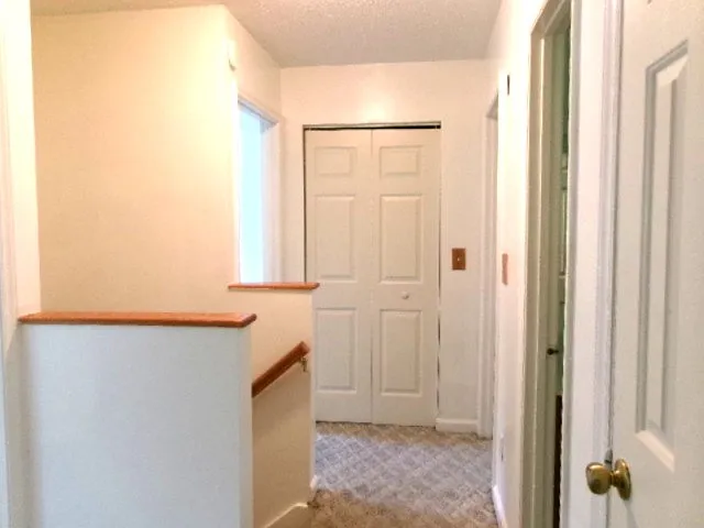 202 Crestway Dr — Photo 8