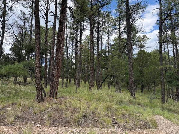 Gunnison Way, Timberon, NM 88350