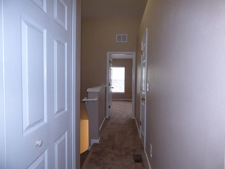 3568 Twisted Tree Ln — Photo 35