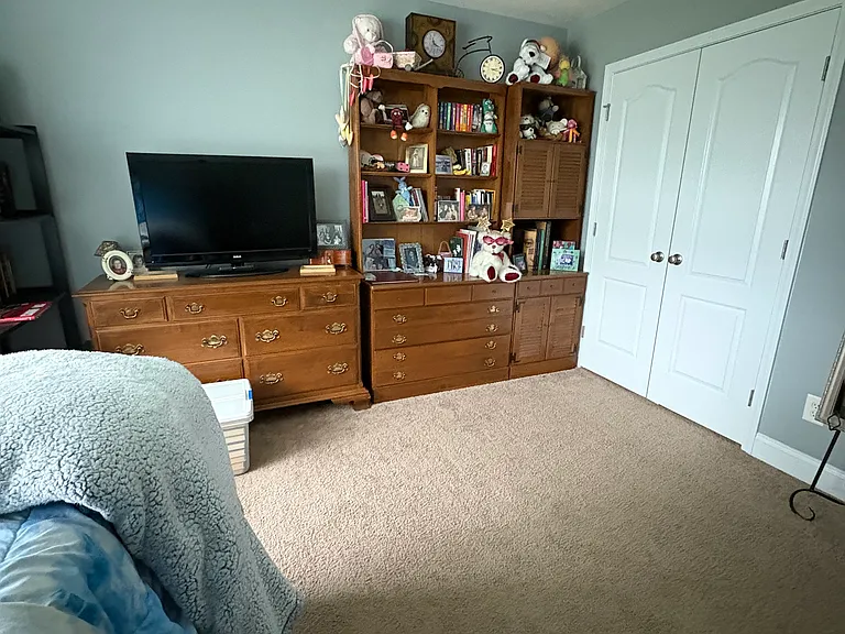 36 Teak Wood Ct — Photo 26