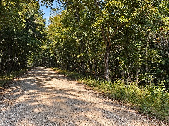 5th image of 0 Forest Rd #2539