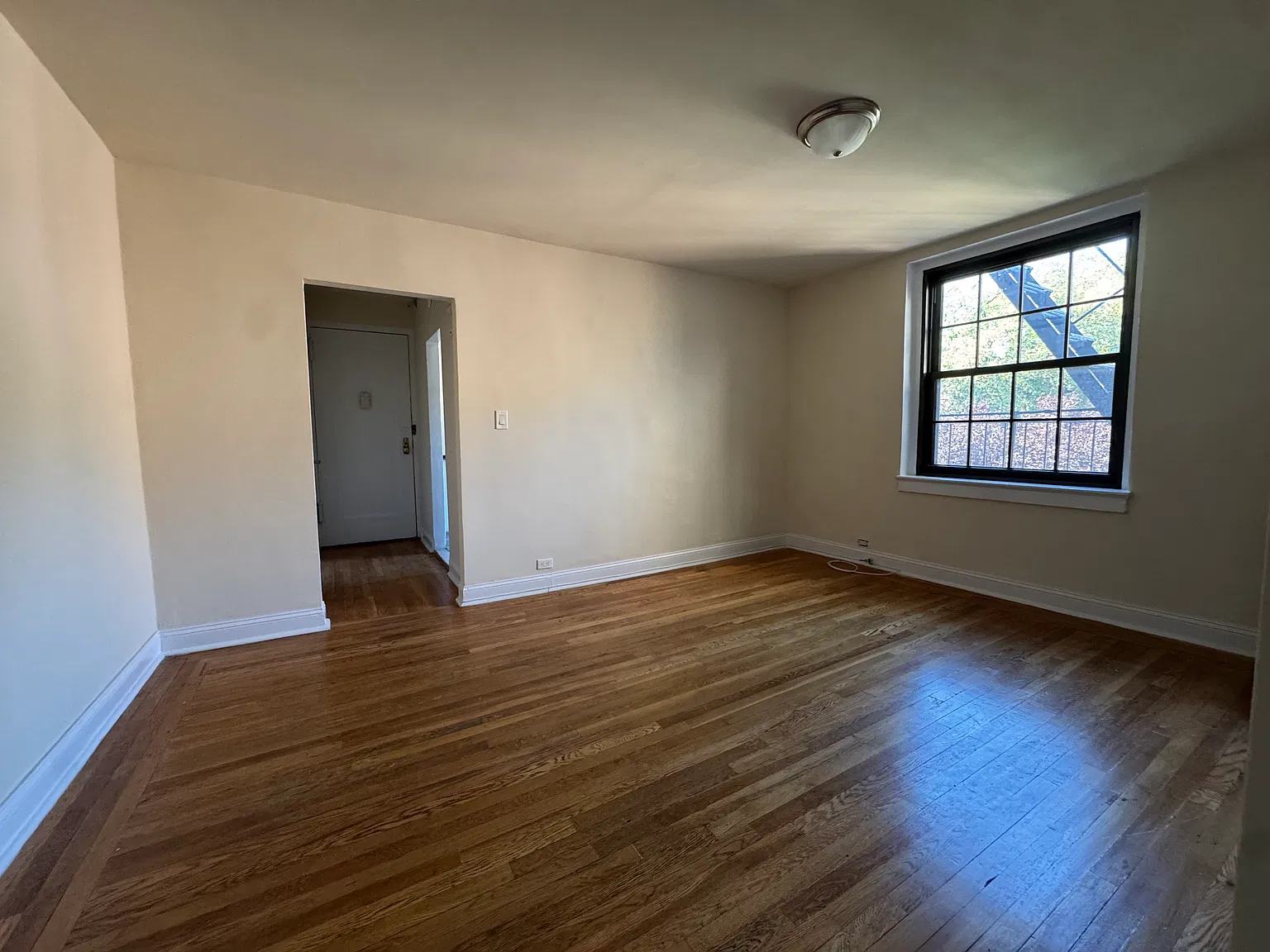 46-01 Skillman Avenue — Photo 3