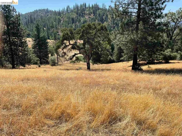0 Forrest Rd #1N19, Tuolumne, CA 95379