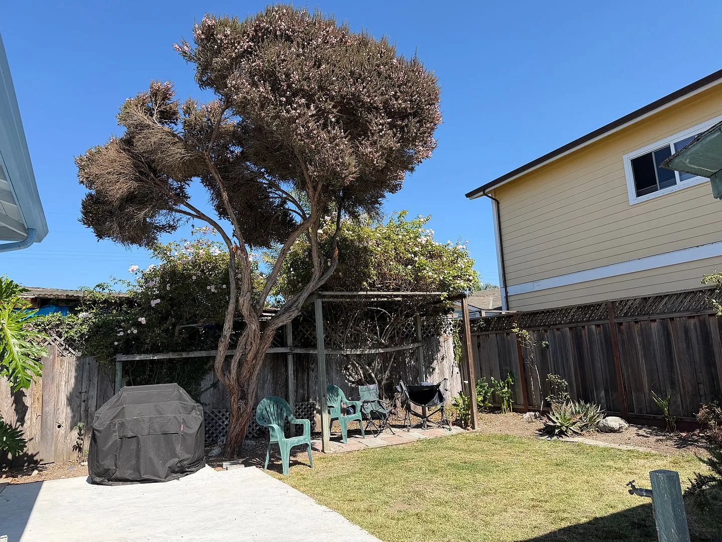 East Cliff Gem - 4-bed 3 bath with an in-house private studio — Photo 1