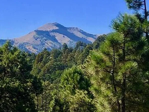 State Highway 48, Alto, NM 88312