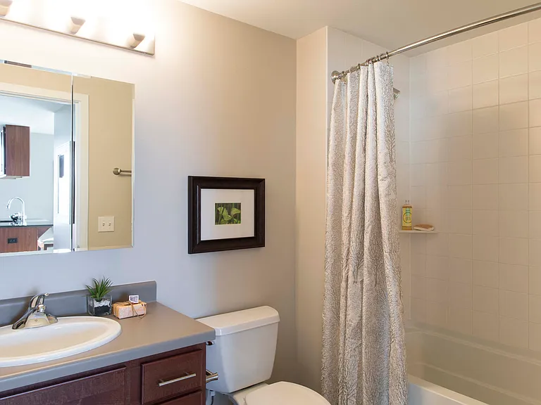 Step into your bathroom that combines contemporary style with everyday functionality for a refreshing experience.