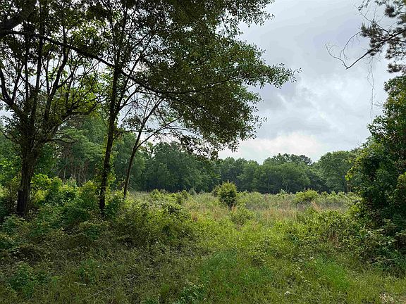 3rd image of County Road 401 S