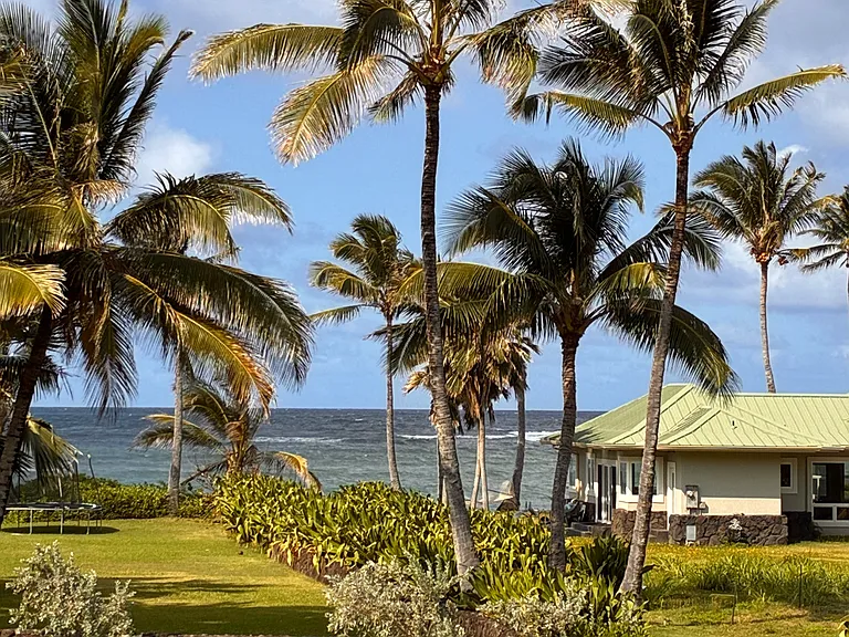 54-337 Kamehameha Hwy #6AU — Photo 4