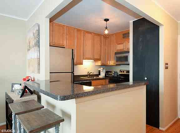 4th image of 1355 N Sandburg Ter APT 905D
