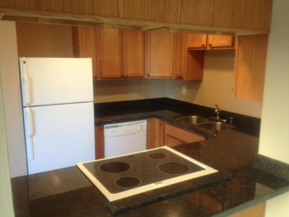 Brand new granite counters!