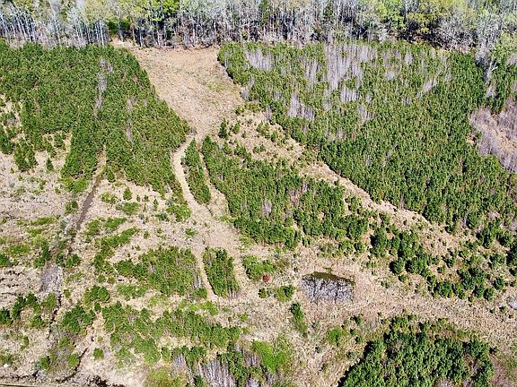 Compass South Land Sales South Carolina City Farm 60 20