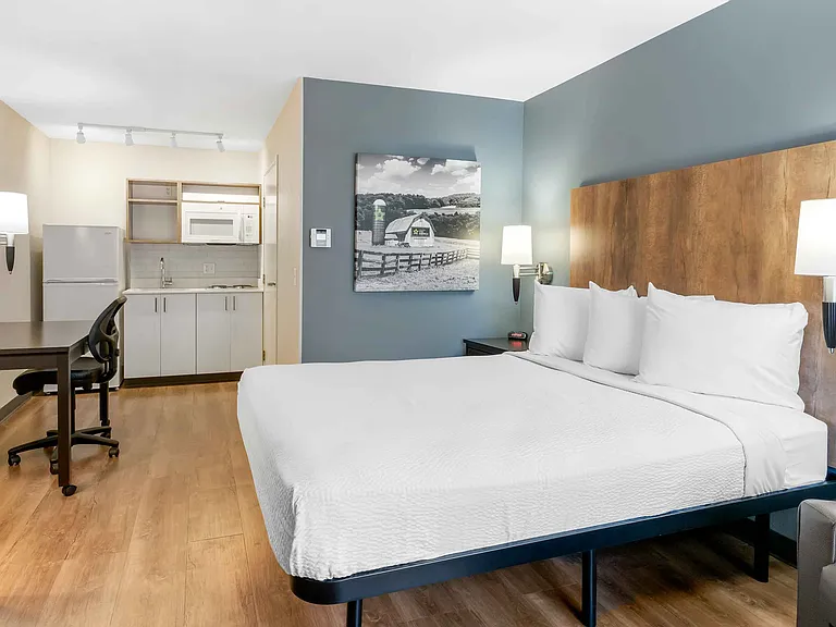 Studio Suite - 1 Queen Bed