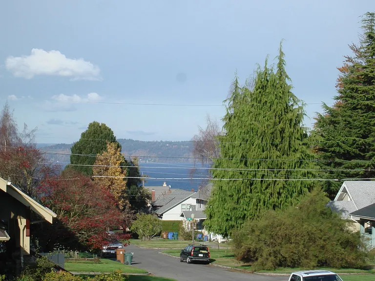 View of Neighborhood and the Bay