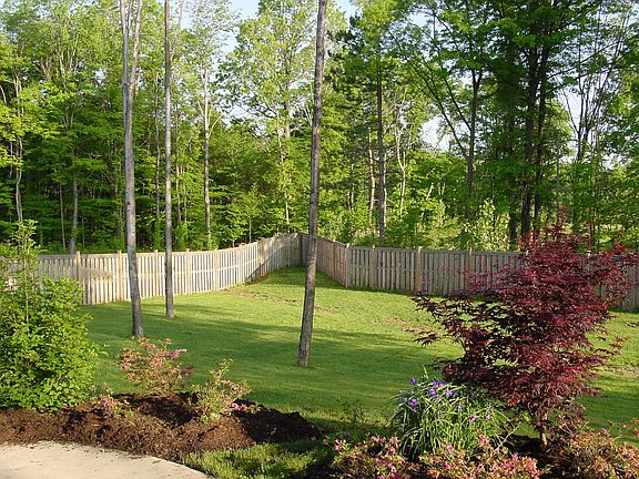 0.6ac Yard w/ Woods
