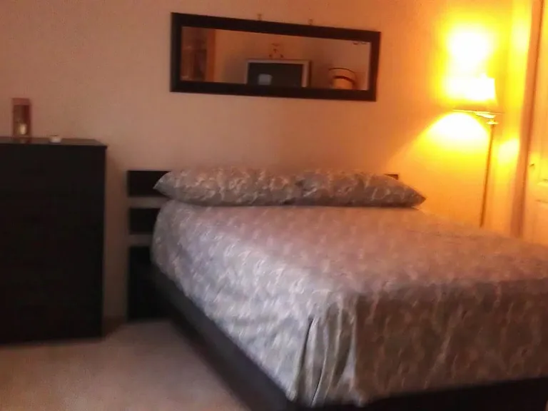 9010 Cormorant Ct — Photo 4