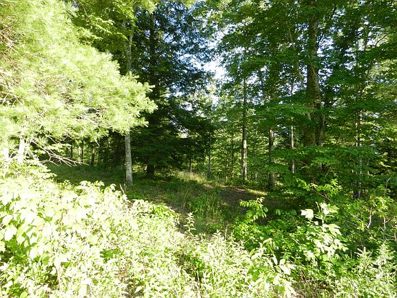 3rd image of 12 Toomey Falls Rd Lot 12