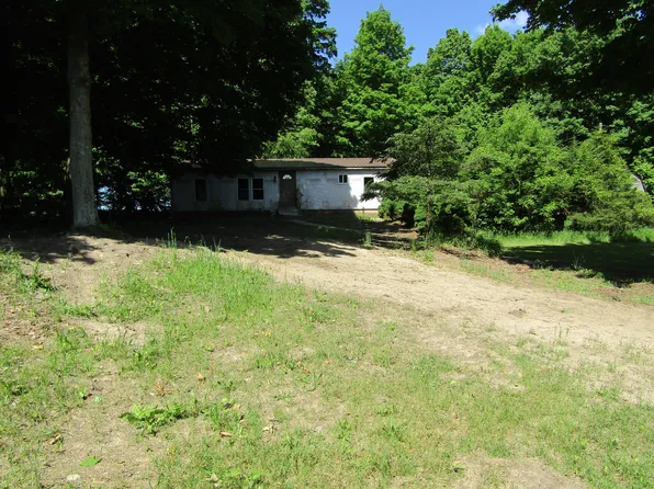 2239 E Marrison Rd, Custer, MI 49405