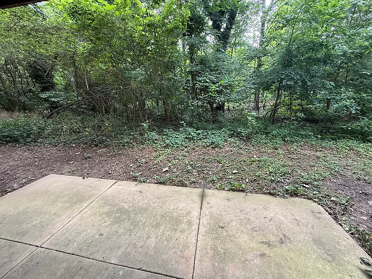 Rear patio