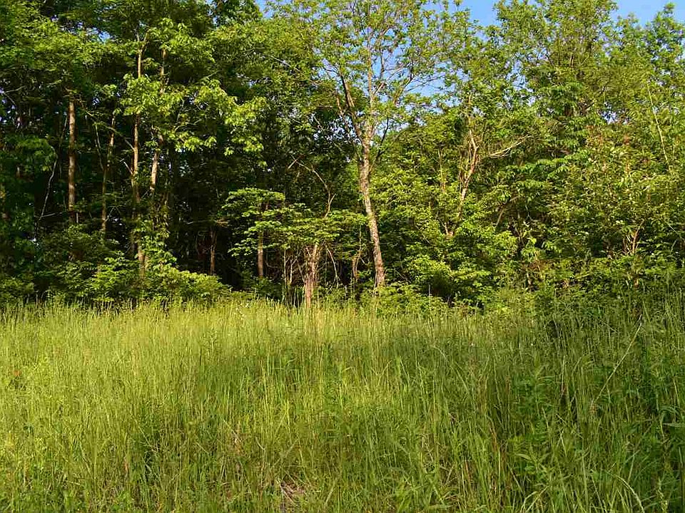 2nd image of 9741 Marshall Rd