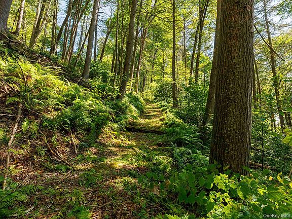 4th image of 197 Trails End Road
