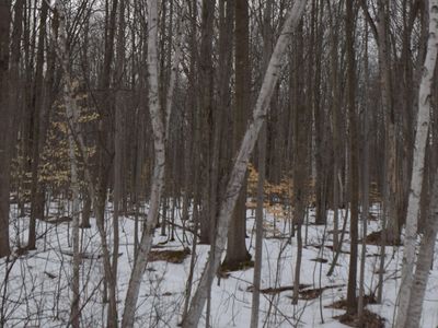 N Swede Rd, Midland, MI, 48642