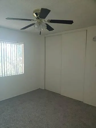 Springview Apartments — Photo 11