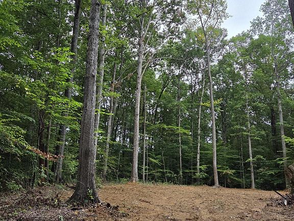 3rd image of 0 County Road 121 Lot 2