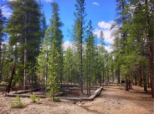 564 Baby Doe Dr, Leadville, CO 80461