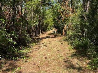 223 Hill Rd, Lyons, GA 30436