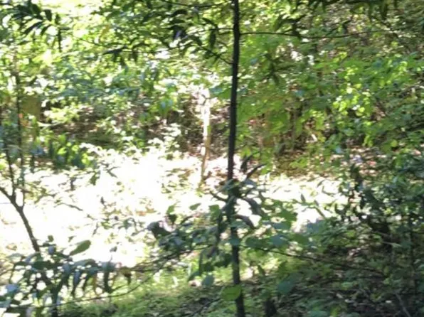 0 Visitar St, Scotts Valley, CA 95066