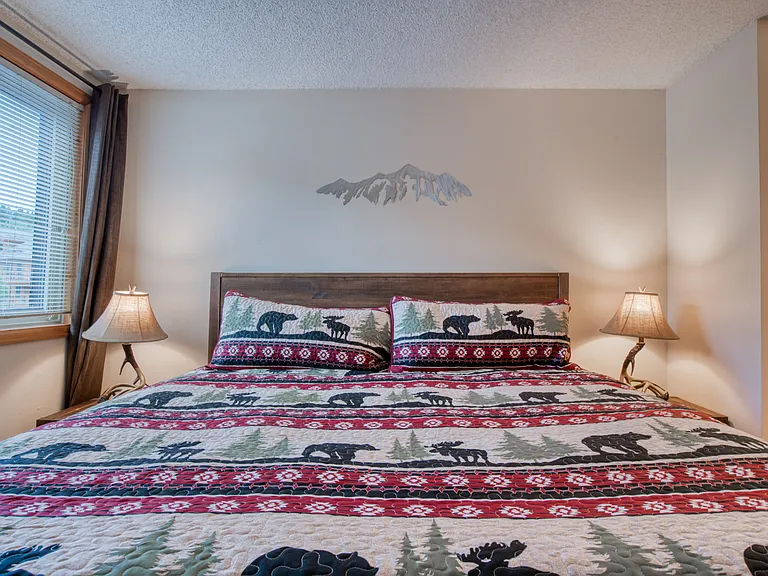 250 Ski Hill Rd #25 — Photo 11