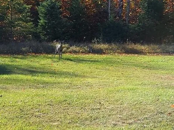14 Airport Dr, Bois Blanc Island, MI 49775