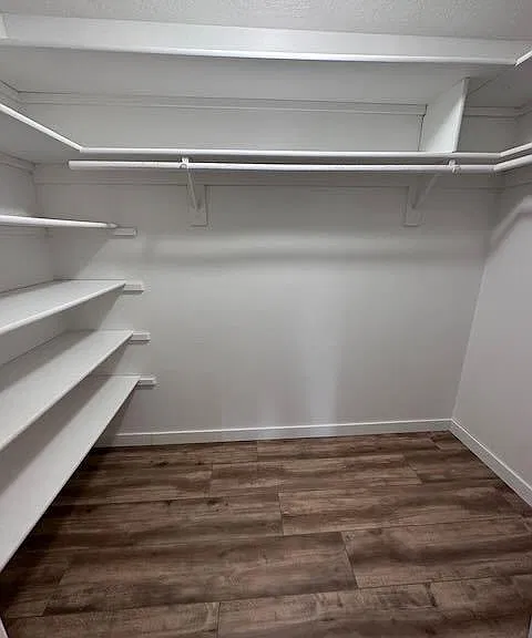 primary bedroom walk-in closet