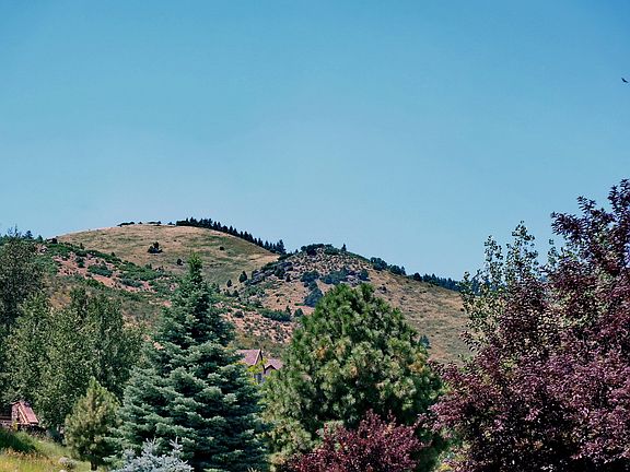 Your backyard! Backs to over 800 Acres of Open Space! 