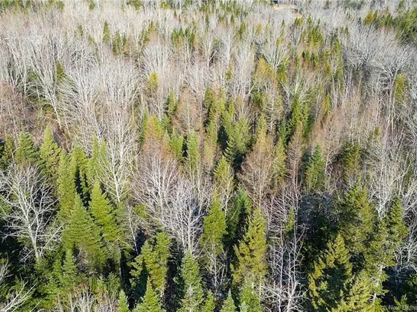 1 Mast Rd #98, Gladstone, NB E5L 1L8
