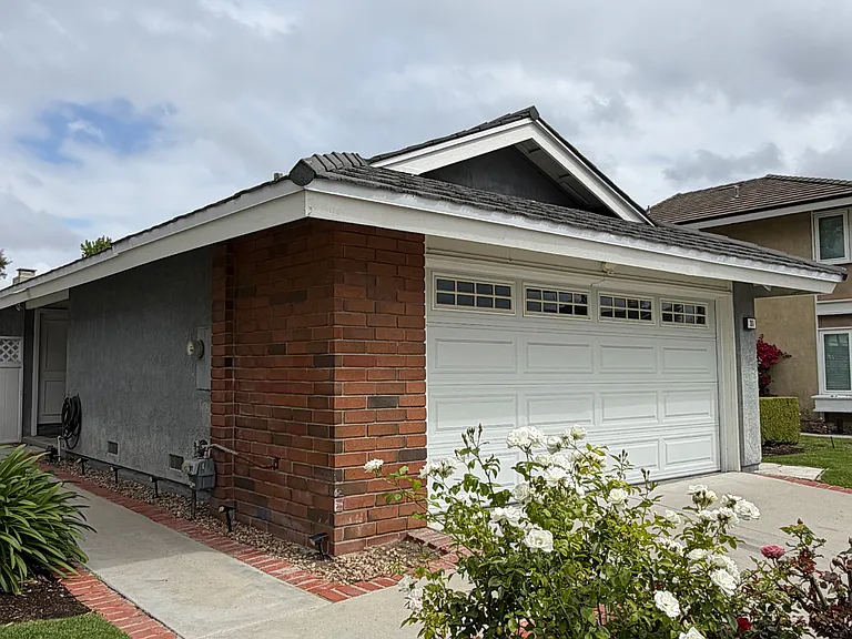 31 Shearwater — Photo 1