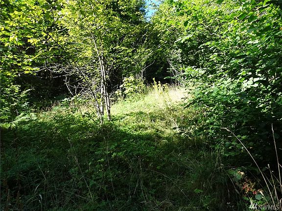 The building lot