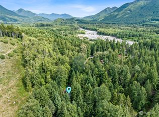 56006 344th Avenue Ct E, Ashford, WA