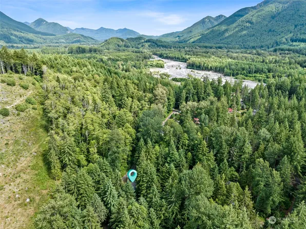 56006 344th Avenue Ct E, Ashford, WA 98304