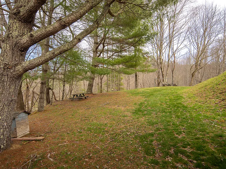 205 Houston Harmon Rd — Photo 25