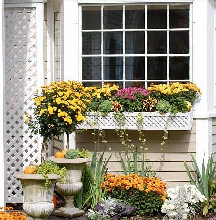 bay window- kitchen