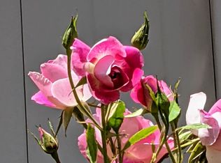 3665 Bilberry Rd, San Bernardino, CA 92407