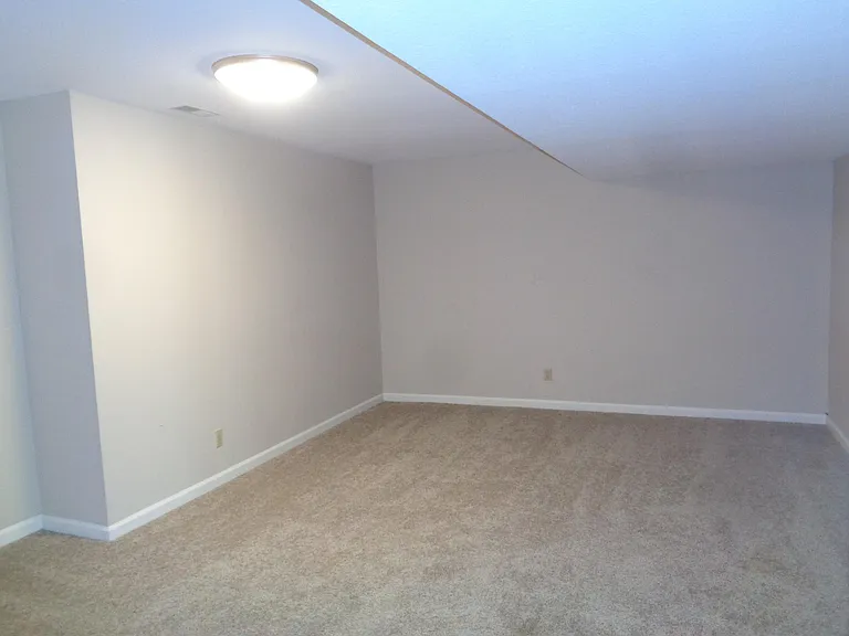 3801 Blue Cedar Ln — Photo 22