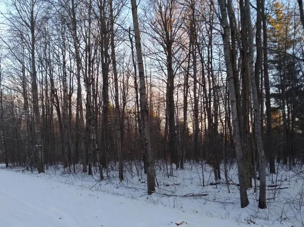 303-305 Sunnyvale Dr, Elmira, MI 49730